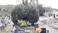 01_Friedhof 1